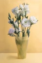 Beautiful greeny white and blue eustoma flowers bouquet in vase. Bunch of lisianthus on yellow background