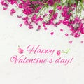 Beautiful greeting card Happy Valentine`s Day