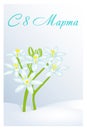 Beautiful greeting card for women`s day with Ornithogalum in snow. Russian translation: 8 March. Holiday greetings background in c