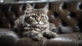 Beautiful grey cat lying on a soft chair. Domestic long hair cat on a sofa. Generative AI
