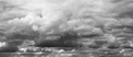 Beautiful grey clouds background. Majestic grey clouds panorama over horizon.