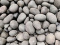 Beautiful grey pebbles stone, used for background image