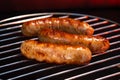 Beautiful grilled sausages on the grill