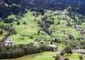 Beautiful Grindelwald village with traditional chalets Royalty Free Stock Photo