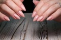 Beautiful groomed woman& x27;s hands, nails on the light gray background