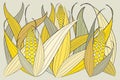 beautiful Group of fresh yellow corn plants Royalty Free Stock Photo