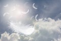 Beautiful Group of White Feathers Floating inThe Sky with Cloudy. Abstract Feather Flying in Heaven. Royalty Free Stock Photo