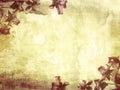 Beautiful grunge background with magnolia Royalty Free Stock Photo