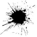 Beautiful grunge blot, splat. Paint splash. Vector illustration