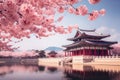 Beautiful Gyeongbokgung Palace in Seoul, South Korea, Gyeongbokgung palace with cherry blossom tree in spring time in seoul city Royalty Free Stock Photo