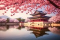 Beautiful Gyeongbokgung Palace in Seoul, South Korea, Gyeongbokgung palace with cherry blossom tree in spring time in seoul city Royalty Free Stock Photo