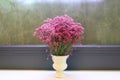 Beautiful gypsophila, babysbreath gypsophila (Gypsophila paniculata L.) blooming in the vase