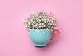 Beautiful gypsophila in cup on pink background, top view Royalty Free Stock Photo