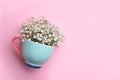 Beautiful gypsophila in cup on pink background, top view. Space for text Royalty Free Stock Photo