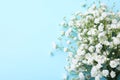 Beautiful gypsophila flowers on light blue background, top view. Space for text Royalty Free Stock Photo
