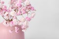 Beautiful gypsophila flowers in pink vase on white background, closeup Royalty Free Stock Photo