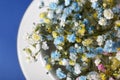 Beautiful gypsophila flowers in white cup on blue background, top view Royalty Free Stock Photo