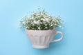 Beautiful gypsophila in white cup on light blue background, top view Royalty Free Stock Photo