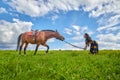 Beautiful gypsy girl leads a stubborn, unruly horse in field with green glass in summer day and blue sky and white clouds Royalty Free Stock Photo