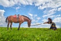 Beautiful gypsy girl leads a stubborn, unruly horse in field with green glass in summer day and blue sky and white clouds Royalty Free Stock Photo