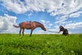 Beautiful gypsy girl leads a stubborn, unruly horse in field with green glass in summer day and blue sky and white clouds Royalty Free Stock Photo