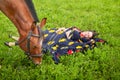 Beautiful gypsy girl lies with a horse in field with green glass in summer day and blue sky and white clouds background. Model in Royalty Free Stock Photo