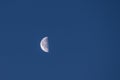 Half moon high against early morning cloudless blue sky Royalty Free Stock Photo