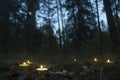 Beautiful halloween composition with runes and candles on the grass in dark autumn forest. Ritual Royalty Free Stock Photo