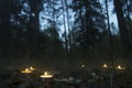 Beautiful halloween composition with runes and candles on the grass in dark autumn forest. Ritual Royalty Free Stock Photo