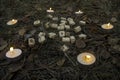 Beautiful halloween composition with runes, skull, tarot and candles on the grass in dark autumn forest. Ritual Royalty Free Stock Photo