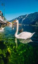 Beautiful Hallstatt, Austria Royalty Free Stock Photo