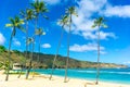 Beautiful Hanauma Bay in Oahu, Hawaii, With Coconut Palm Trees and White Sandy Beach