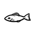 Beautiful hand drawn fashion fish icon. Hand drawn black sketch. Sign / symbol / doodle. Isolated on white background. Flat design Royalty Free Stock Photo