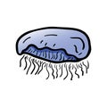 Beautiful hand drawn fashion jellyfish icon. Hand drawn black sketch. Sign / symbol / doodle. Isolated on white background. Flat Royalty Free Stock Photo