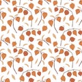 Beautiful hand drawn floral seamless pattern. Physalis fruit, leaves and branches isolated on white background. Autumn