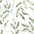 Beautiful hand-drawn green leaf seamless pattern. Tea watercolor illustration. Tropical plant. Background. Textile design. Royalty Free Stock Photo