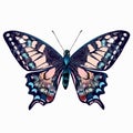 Beautiful hand drawn pink blue butterfly vector illustration isolated on white awesome for T-shirts prints Royalty Free Stock Photo