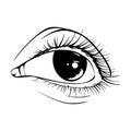 Beautiful hand drawn sketch eye vector illustration line art
