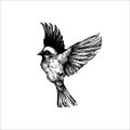 Hand drawn sparrow illustration, small bird, Bird drawing, Black owl, beautiful bird, wild animal
