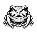 Tree Frog hand drawn vector graphic Royalty Free Stock Photo