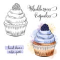 Beautiful hand drawn watercolor cupcakes with blackberries