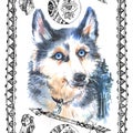 Beautiful hand drawn watercolor illustration husky