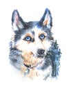 Beautiful hand drawn watercolor illustration husky