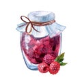 Beautiful hand drawn watercolor illustration raspberry jam