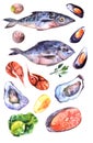 Beautiful hand drawn watercolor illustration seafood. Good for restourant menu.