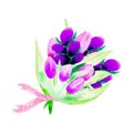 Beautiful hand drawn watercolor tulips bouquet, vector isolated on white background Royalty Free Stock Photo