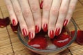 Beautiful hand with nail red manicure and petals Royalty Free Stock Photo