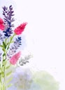 Beautiful hand painted floral background in watercolor style Royalty Free Stock Photo