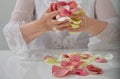 Beautiful hand with perfect french manicure on treated nails holding rose flower petals. isolated on white background Royalty Free Stock Photo