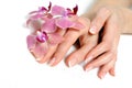 Beautiful hand with perfect nail french manicure Royalty Free Stock Photo